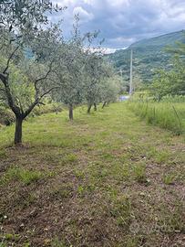 Vendita Casa in paese