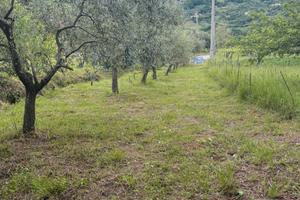 Vendita Casa in paese