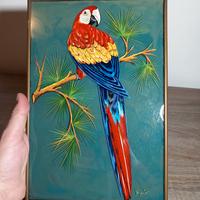 Pigato Nove Vetro decorato a mano Pappagallo unico