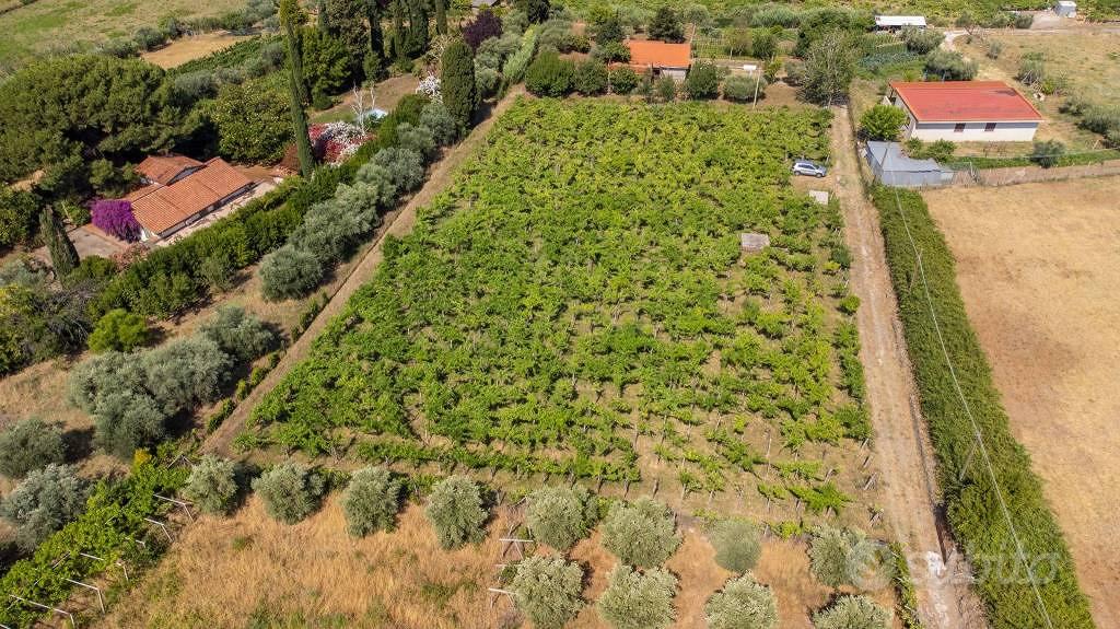 Terreno di 4230 m² a Grottaferrata - Vista 2