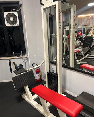 Pulley panatta