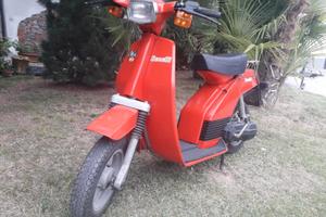Motorino 50 Benelli