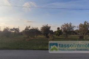 Terreno di 4600 m² a Ortona