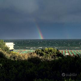 Jesolo - bilo vista mare. Libero 25/7-8/8 + da 6/9
