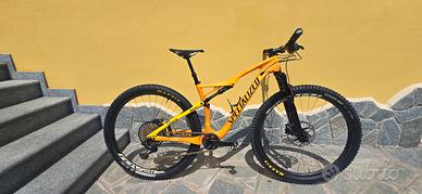 SPECIALIZED EPIC FSR TORCH EDITION