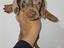Immagine 11