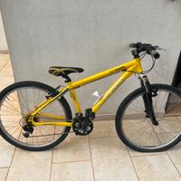 Bicicletta 10-14 anni carbonio