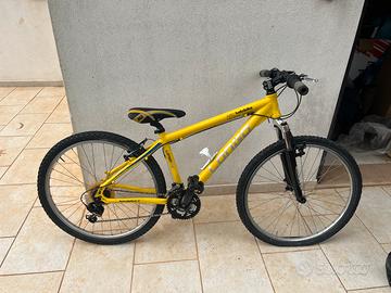 Bicicletta 10-14 anni carbonio