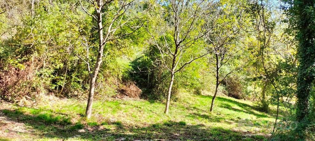 Terreno di 40000 m² a Arrone - Altro