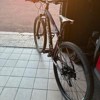 MTB Cannondale trailS5
