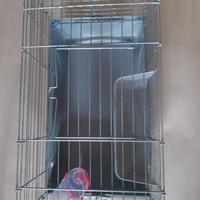 gabbia per criceti/conigli animaletti piccoli