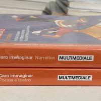 Libri: Caro immaginar