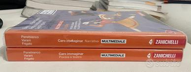 Libri: Caro immaginar