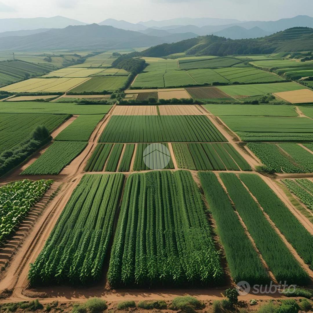 TER. AGRICOLO A PONTIROLO NUOVO - Vista 5
