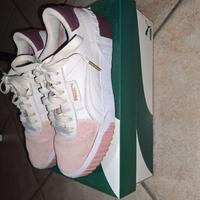 Puma cali
