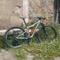 Orbea
