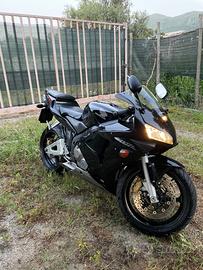 Honda CBR 600 rr - 2004