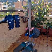 Stepper & Twister 2 in 1. 