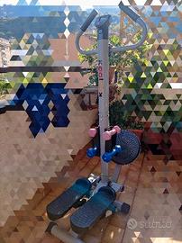 Stepper & Twister 2 in 1. 