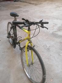 MOUNTAIN BIKE