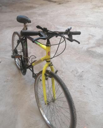 MOUNTAIN BIKE