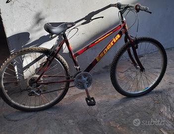 Mountain bike Esperia