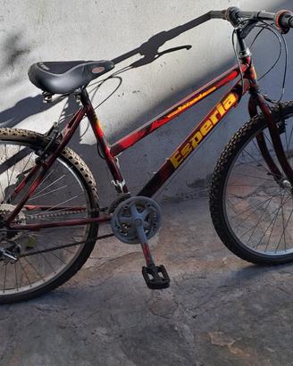 Mountain bike Esperia
