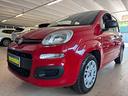 fiat-panda-1-2-pop-cinghia-nuova
