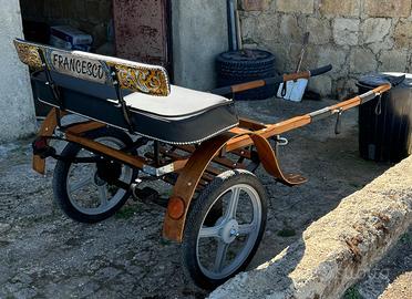 Calesse per pony