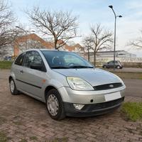 Ford Fiesta neopatentati