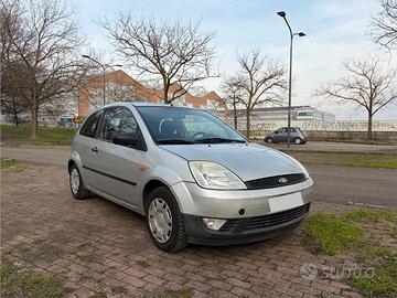 Ford Fiesta neopatentati