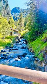 Valtellina, due Baite in bel borgo