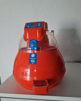 incubatrice per galline