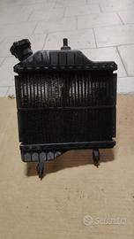 Ricambi Yamaha TZR 50