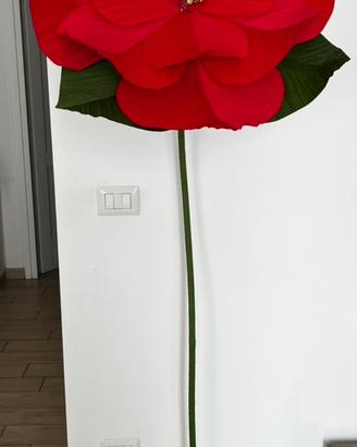 Fiori giganti di carta crespa
