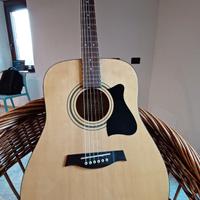 Chitarra Acustica Ibanez V50MJP