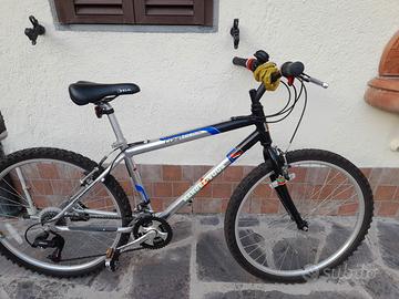 Mountain bike