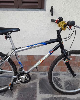 Mountain bike