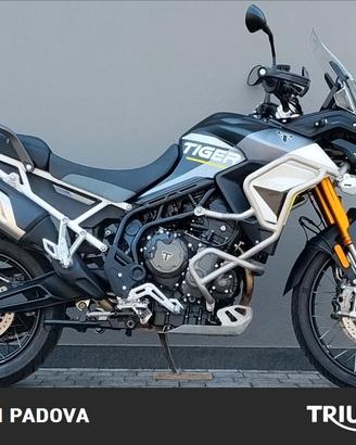 Triumph Tiger 900 Rally Aragon - 2024