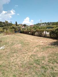 Terreno Tipologia PCU