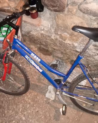 Bicicletta MTB