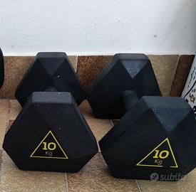 Manubri 10 kg