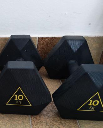 Manubri 10 kg