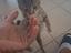 Immagine 1
