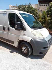 Fiat ducato frigo isotermico 