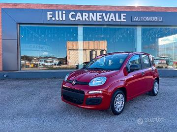FIAT Panda 3ª serie Panda 1.0 FireFly S&S Hybrid