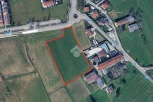TER. AGRICOLO A CALDOGNO