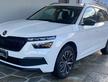Skoda Kamiq 1.0 tsi Style 95cv