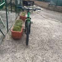 Bici atala replay uomo 27.5