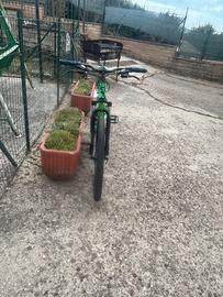 Bici atala replay uomo 27.5